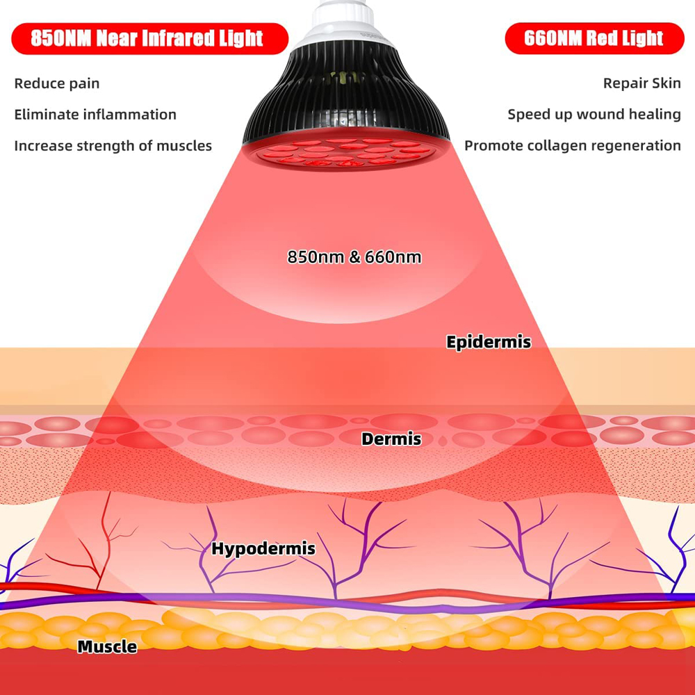 54W 660nm&850nm LED Red and In - Galvanic Skin Sensor のレビューと価格